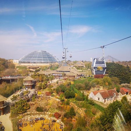 Le Chant Des Oiseaux, 3Km Du Zoo De Beauval, Parking Gratuit ,Wifi Et Netflix Gratuits سانت إينيو المظهر الخارجي الصورة
